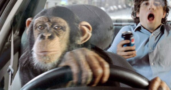 Who is in the driving seat?